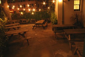 Garden at night old